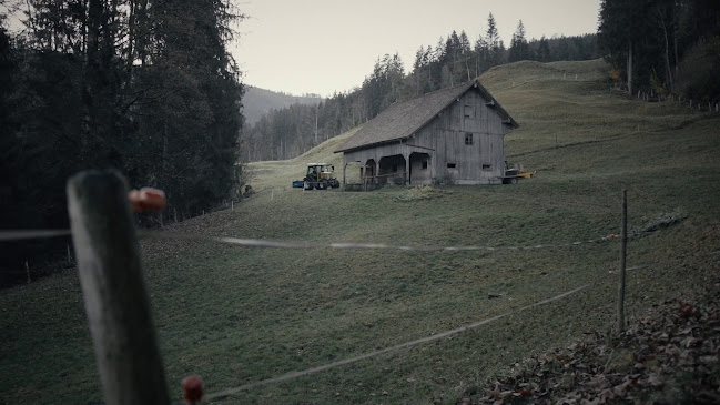 Rezensionen über EWS AG (Servicezentrum Brunnen) in Schwyz - Elektriker