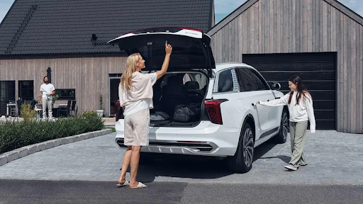 Hongqi Kristianstad Hedin Bil - Thumbnail