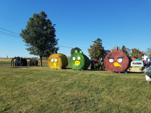 Hillsboro Farm - Thumbnail