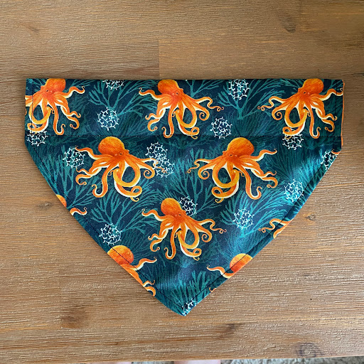 Emily's Pawfect Accessories - Thumbnail