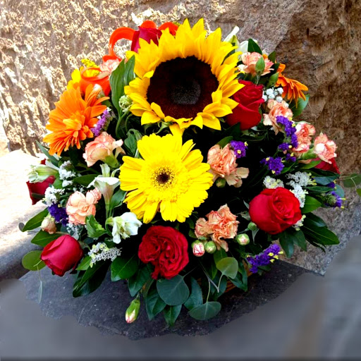''Floreria'' - Visual