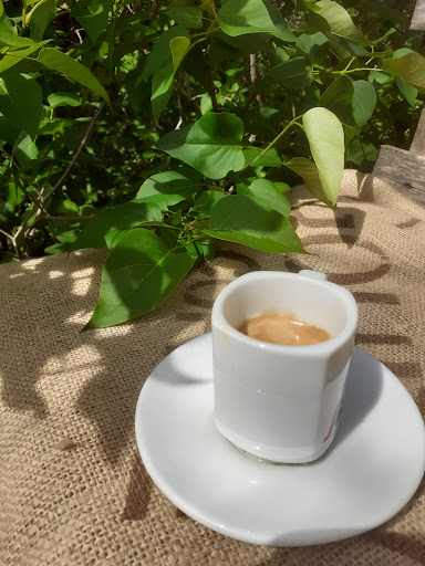Café Escalón Gallery - France