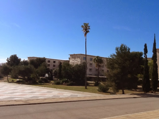 Institut Cal·lípolis