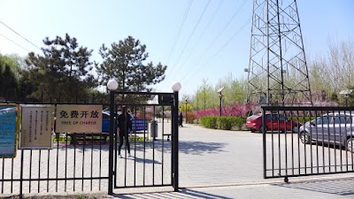 Photos of Old Temple Park