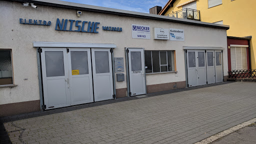 Alfred Nitsche Logo