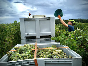 Photo n°5 de La Colombière - Le Vignoble à Villaudric (Salle de réception)