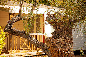 Photo n°42 de Camping L'Olivier à Junas (Terrain pour camping-cars)