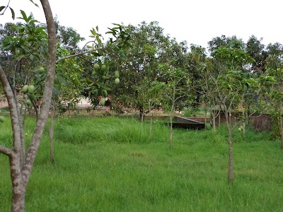 Photos of Mollikhhati Mondir(Mollikhati Temple)