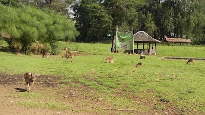 Photos of Balai Desa Margamukti