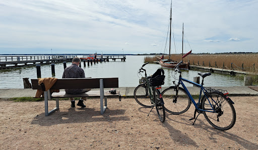 Pedal Power - Fahrradverleih Prerow & Zingst | Station 5 - Thumbnail