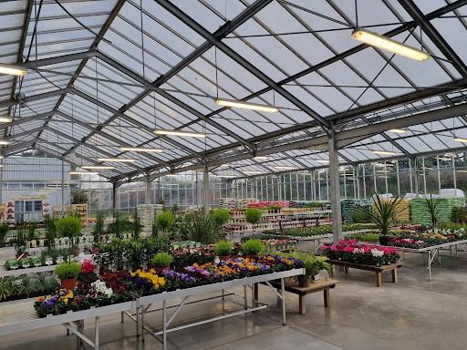 Photo 8 - Véronique Fleurs (Interflora)