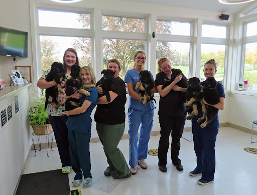 Dansville Animal Hospital Gallery - United States