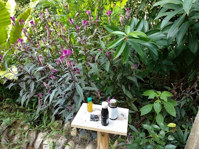 Photos of Surathura Spice & Herbal Garden