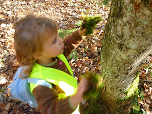 Photo n°1 de Skholè des écureuils à La Motte-Servolex (École privée)