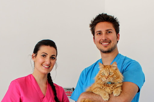 Estenova Clínica veterinaria