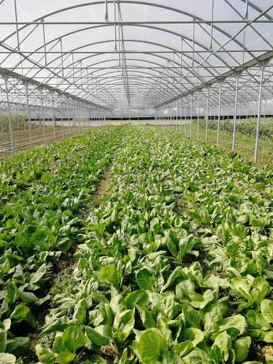 Azienda Agricola Sabrina - Thumbnail