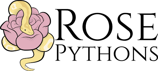 Rose Pythons - Visual
