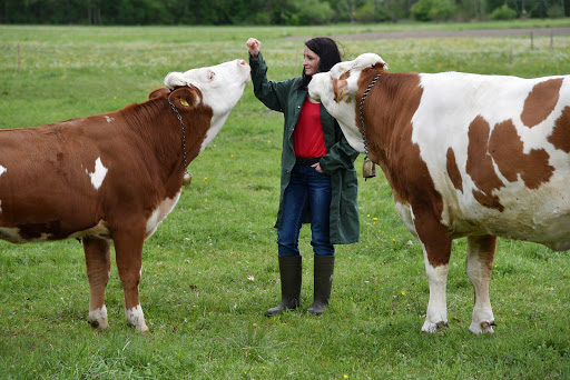 GAILTALVET - Dr. Martina Wassertheurer