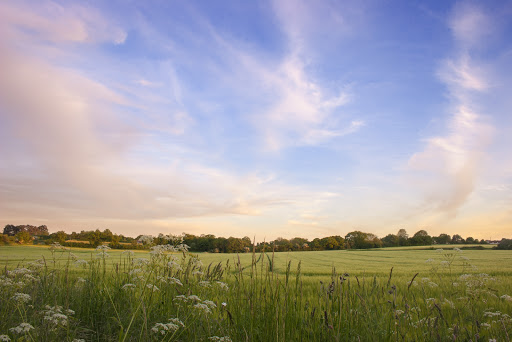 Suffolk Secrets - Visual