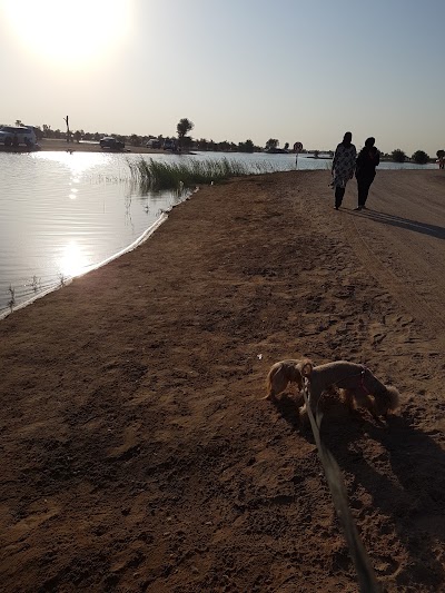 Photos of Al Qudra Lake Camp Bni
