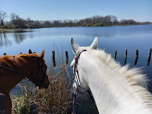 Photo n°20 de Haras Vie Passion à Domeyrot (Centre équestre)