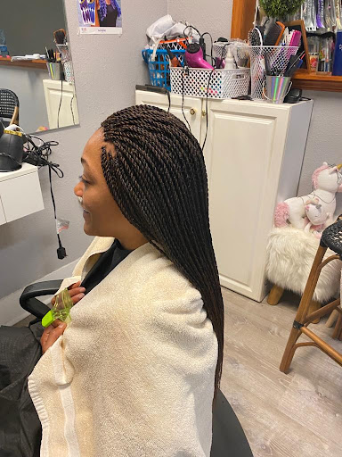 Ellen's Locs, Frizz-American Hair Braiding