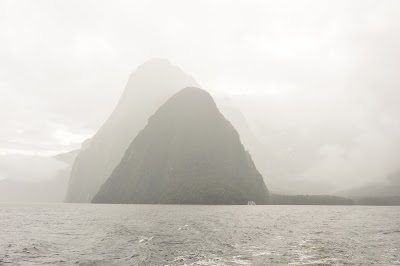 Photos of Southern Discoveries