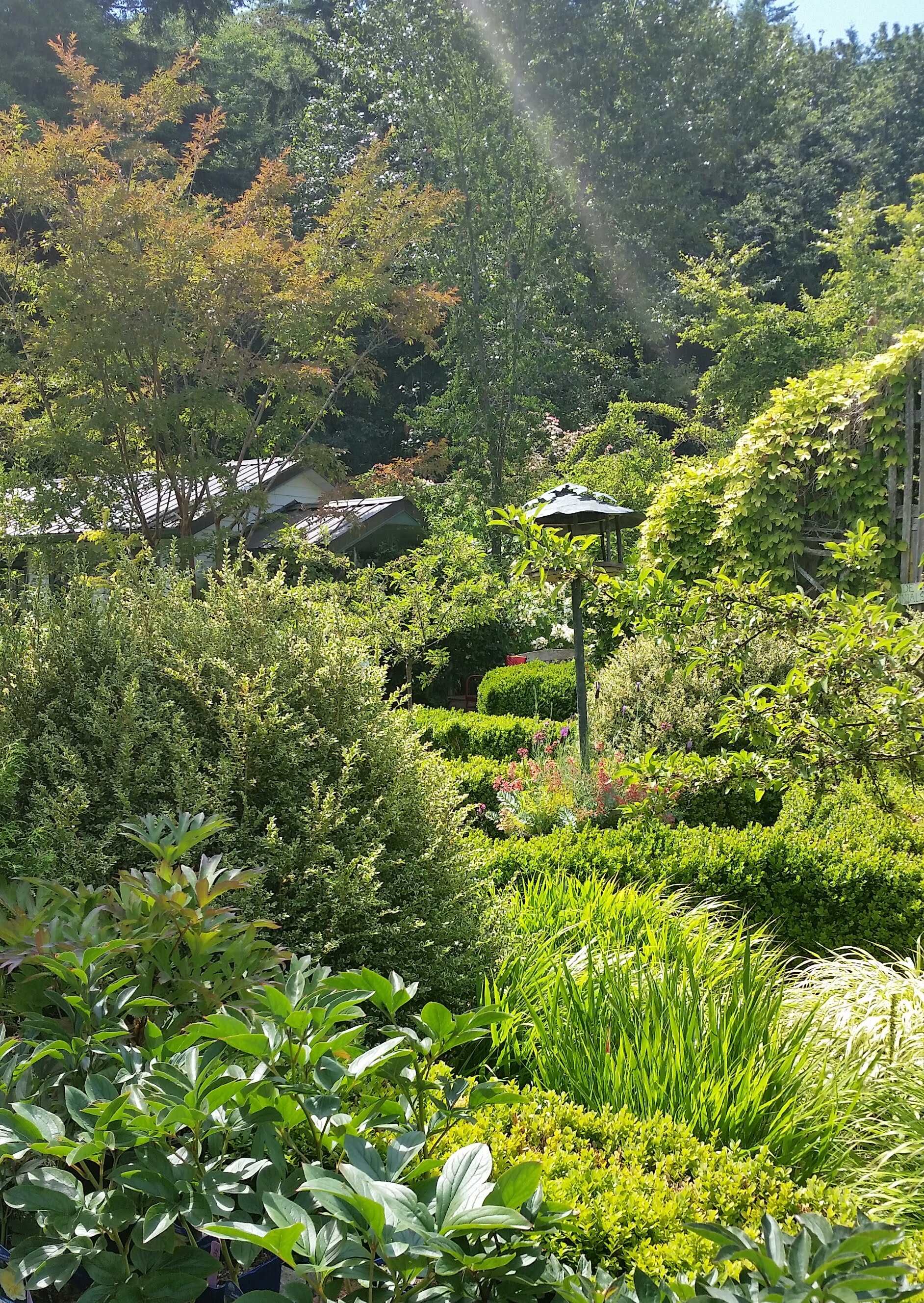 Cultus Bay Gardens