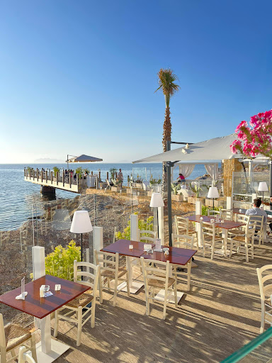 Le 5 Palme - Restaurant & Lounge Bar - Thumbnail