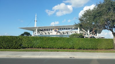 Photos of Miami Dolphins