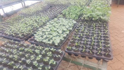 Photos of PALMA FARM