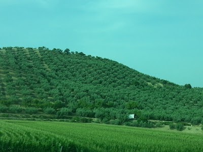 Photos of Apartamentos Claver&iacute;a