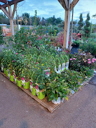 Photo n°32 de GAMM VERT à Perreux (Pépinière)