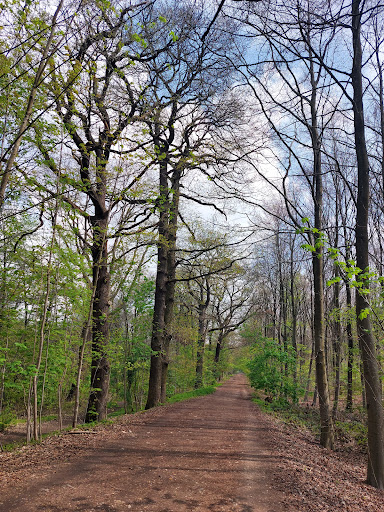Clamart Woods