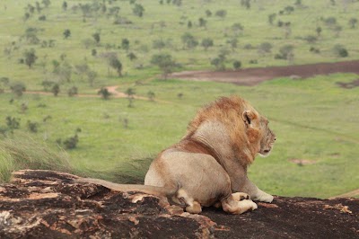 Photos of Lions Bluff Lodge