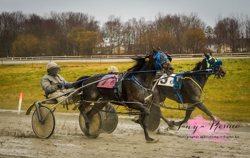 Northside Downs - Visual