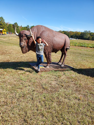 Arkansas Frontier