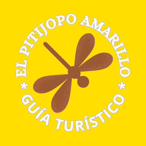 El Pitijopo Amarillo - Guía Turístico - Thumbnail