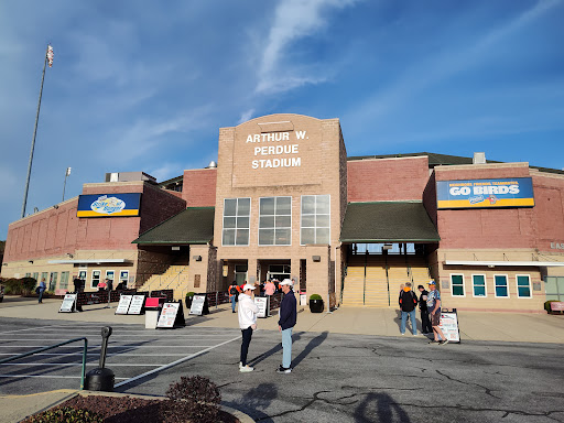 Perdue Stadium - Visual