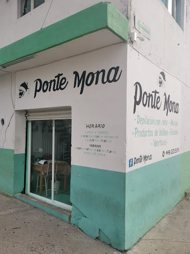 Ponte mona spa - Visual