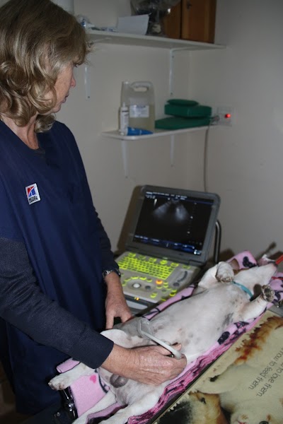 Photos of Mercury Street Veterinary Hospital