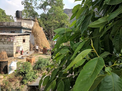 Photos of Fuel station