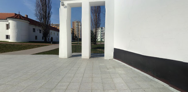 Prírodné kino