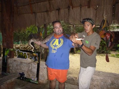 Photos of VEA | ATV tours BASE OPERATIVA