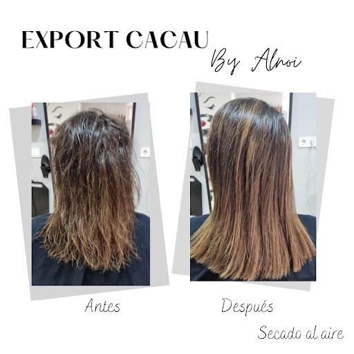ALNOI - Visual