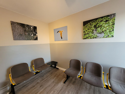 Dr Neto José Gallery - France