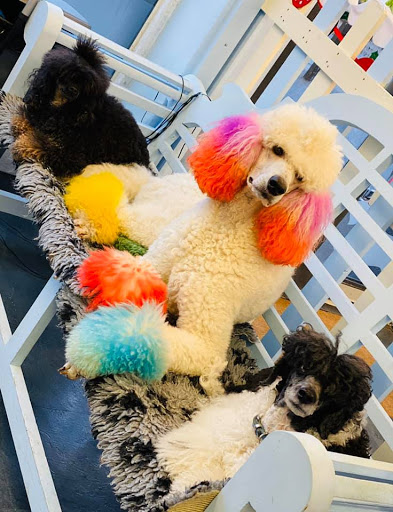 2 Left Paws Grooming Spa Crowthorne - Thumbnail