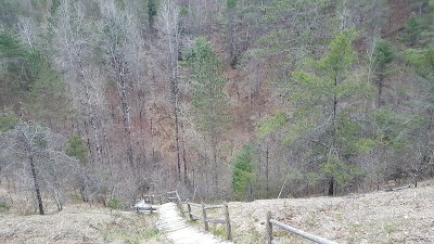 Photos of Camp Walden