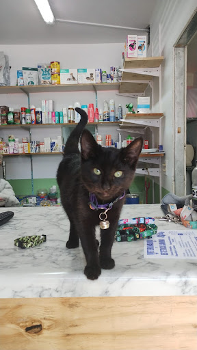 Veterinaria y estetica BAJA MIL
