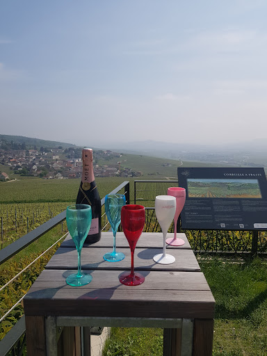 Rahas Champagne Tours - Thumbnail